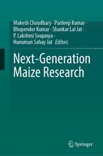Next-Generation Maize Research