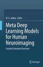 Meta Deep Learning Models for Human Neuroimaging