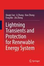 Lightning Transients and Protection for Renewable Energy System