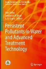 Persistent Pollutants in Water and Advanced Treatment Technology