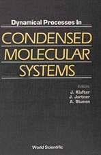 Dynamical Processes in Condensed Molecular Systems