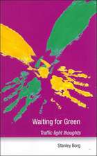 Waiting for Green: Traffic Light Thoughts