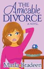 The Amicable Divorce