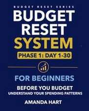 Budget Reset System For Beginners