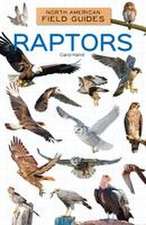 Raptors