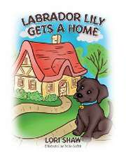 Labrador Lily Gets A Home