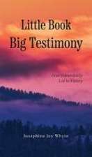 Little Book, Big Testimony