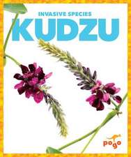 Kudzu