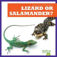 Lizard or Salamander?