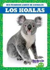 Los Koalas (Koalas)