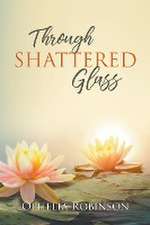 Through Shattered Glass