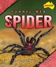 Funnel-Web Spider