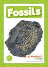 Fossils