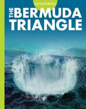 Curious about the Bermuda Triangle