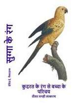 सुग्गा के रंग