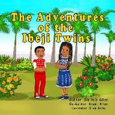 The Adventures of the Ibeji Twins