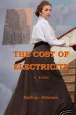 The Cost of Electricity, a Novel