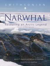 Narwhal