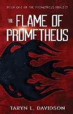 The Flame of Prometheus